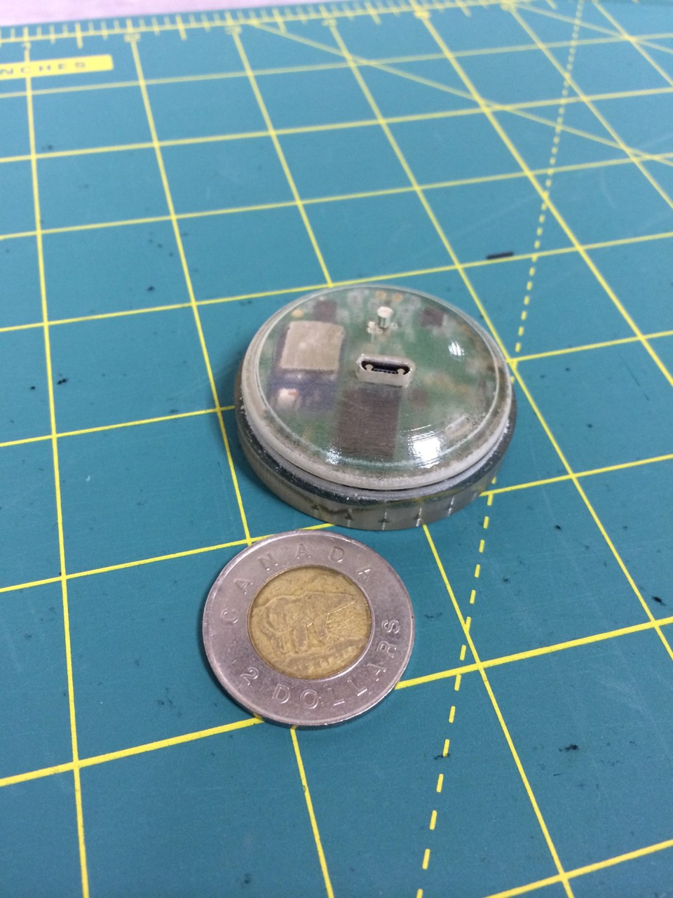 The enclosed module beside a Canadian two-dollar coin, showing the scale of the wearable electronics.